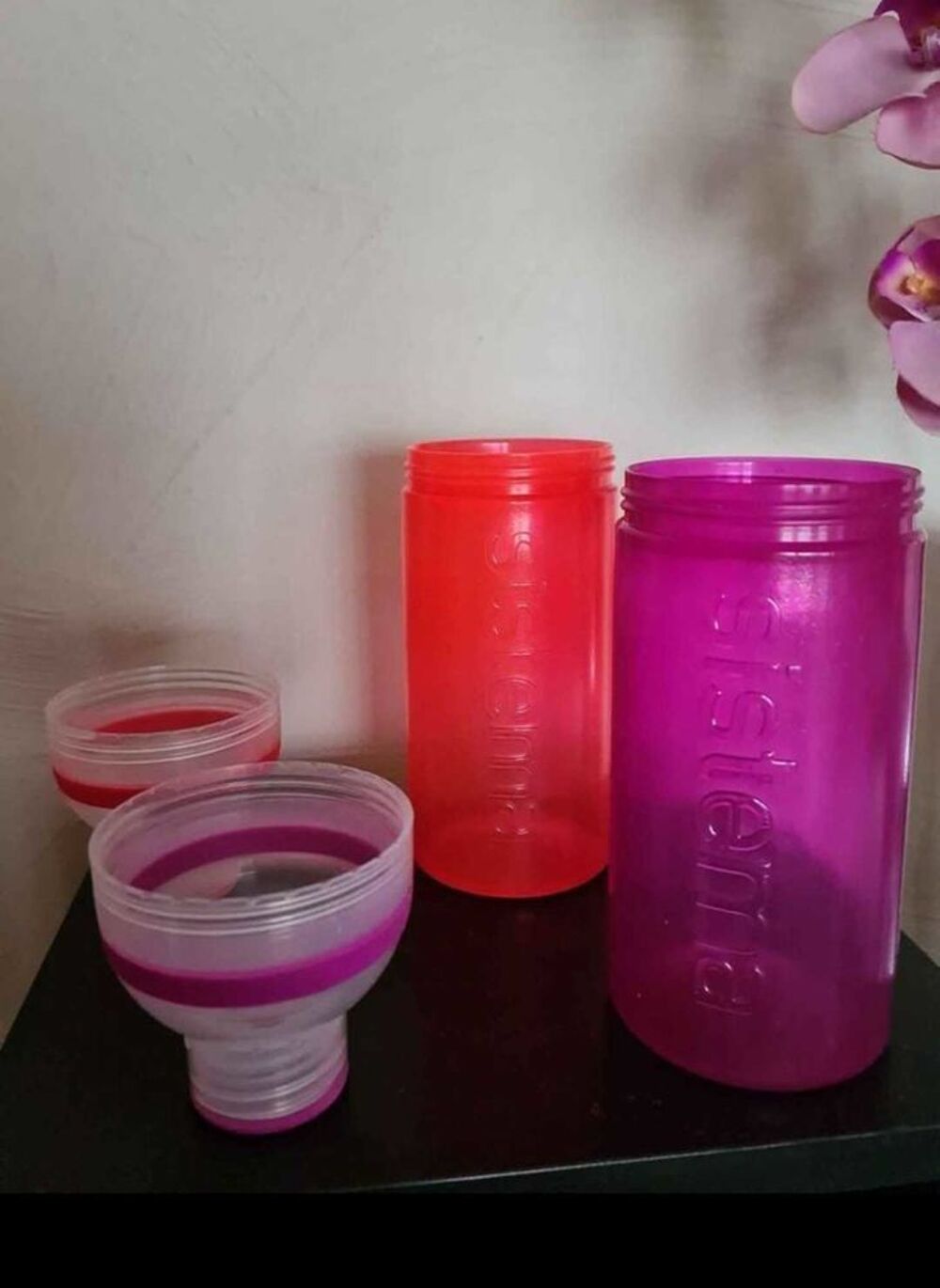 Lot de 2 bouteilles neuves Sistema 580 ml Sports