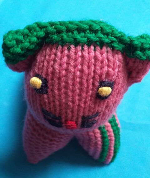 CHAT au point mousse 7 Montauban (82)