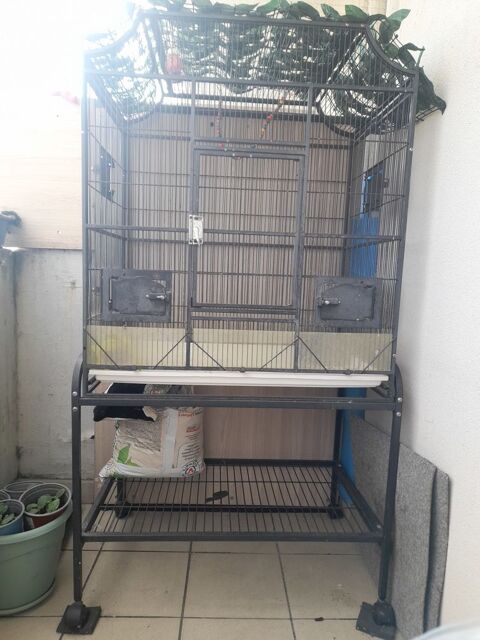 cage Strasbourg (67)