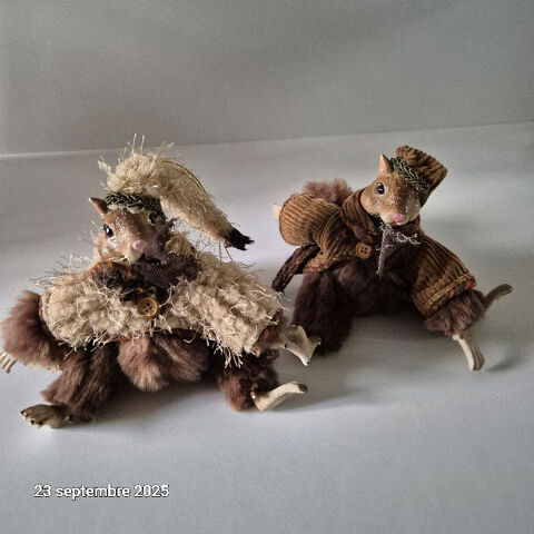 Petits cureuils habills en brun velours, poil doux, soyeux 60 Saumur (49)