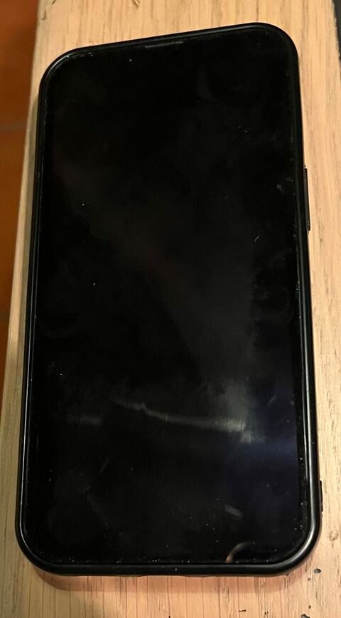iPhone 13 noir 250 Damery (51)