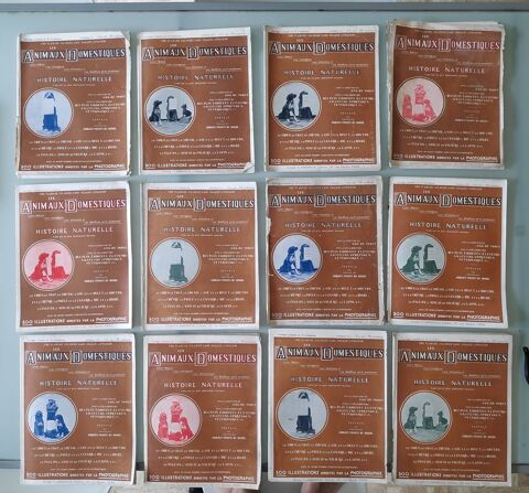 Ouvrage complet   les animaux domestiques  Gos de Voogt 35 Grand-Champ (56)