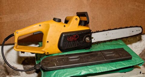 Tron�onneuse �lectrique 30 La Bresse (88)