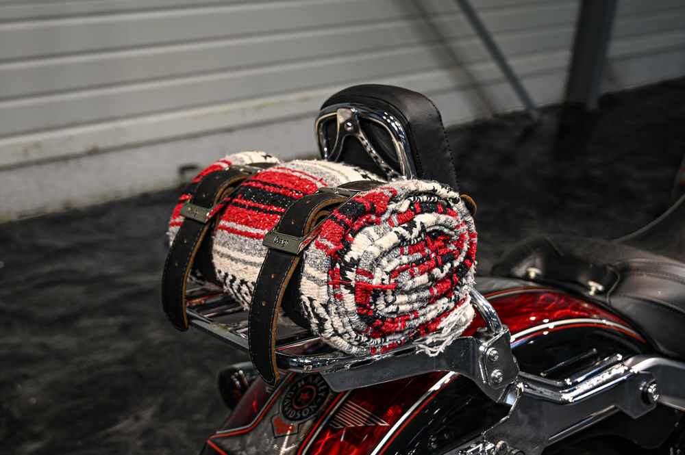 HARLEY-DAVIDSON 2020 occasion 60280 Clairoix