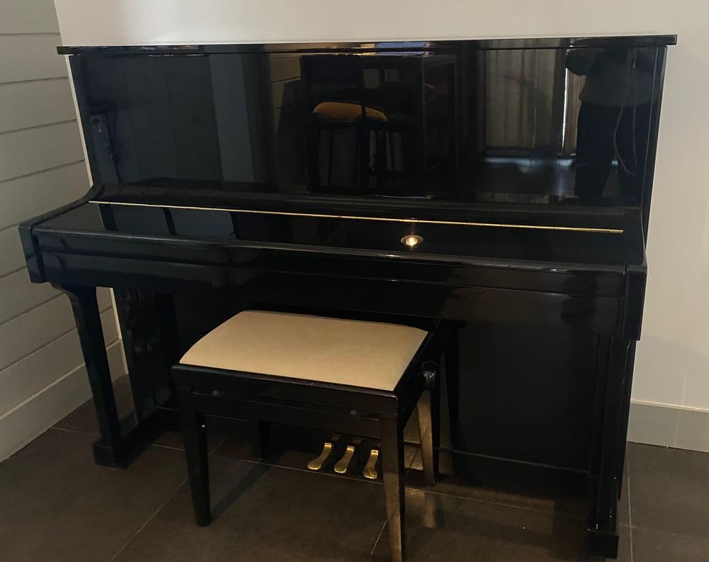 piano marque PEARLRIVER UP117M00 Instruments de musique