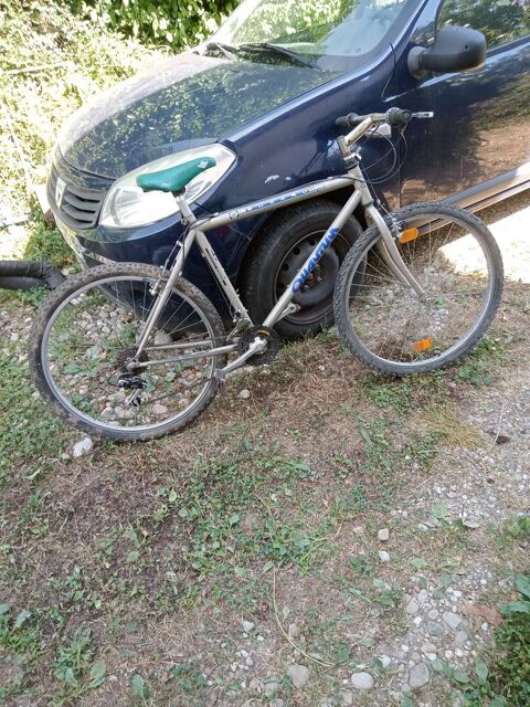 velo vtt 40 Valleiry (74)