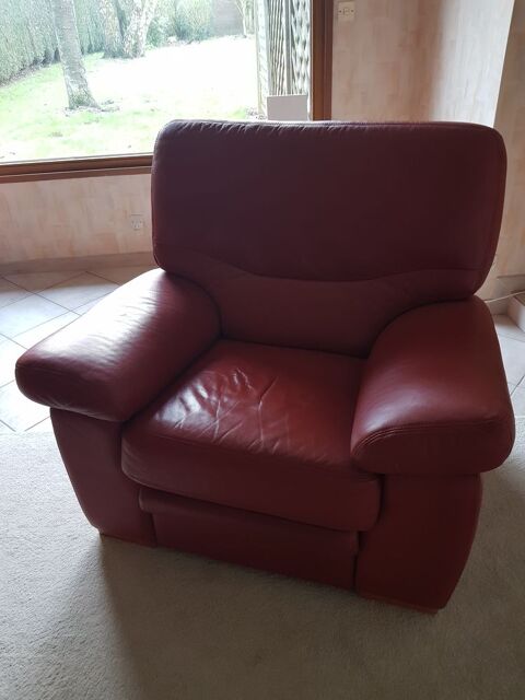 Fauteuil Cuir 90 Wattignies (59)