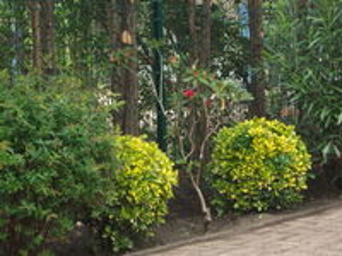   jardinier 