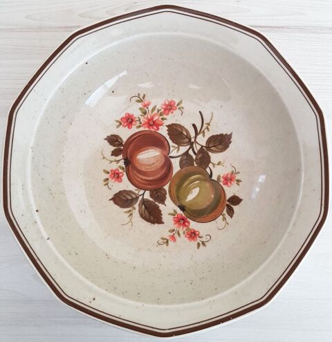 PLAT 4 Viuz-en-Sallaz (74)