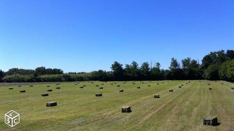 foin petites bottes   fourrage animaux permaculture 54380 Saizerais