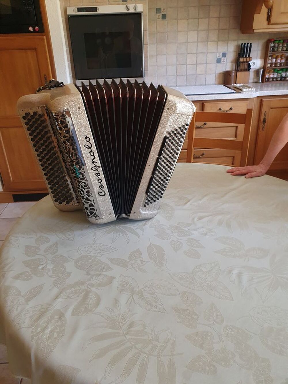 Accordeon cavagnolo professionnel 5 Instruments de musique