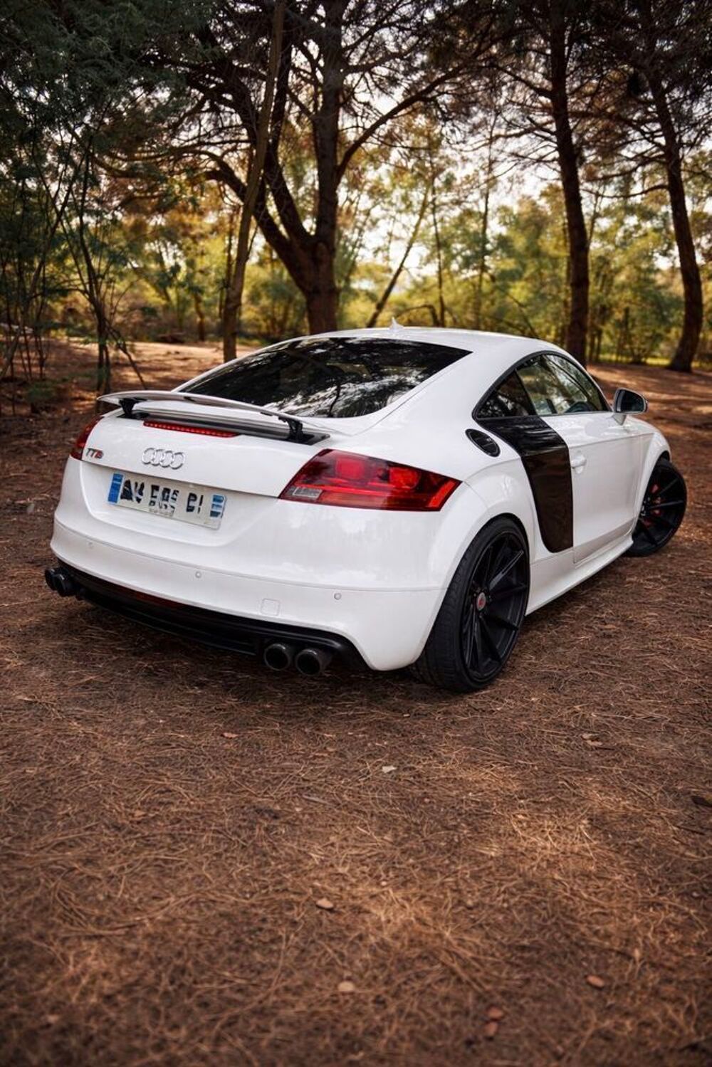 TT S TTS Coup&eacute; 2.0 TFSI 272 Quattro S-Tronic A 2010 occasion 20213 Penta-di-Casinca