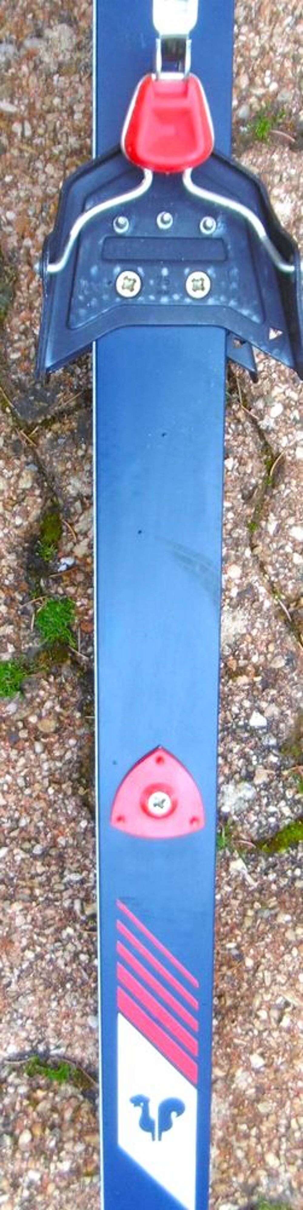 Anciens Skis de Fond DYNASTAR FJORD S &eacute;tat neuf avec b&acirc;tons Sports