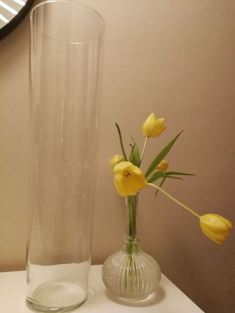 Vase pour orchide 10 Vimory (45)