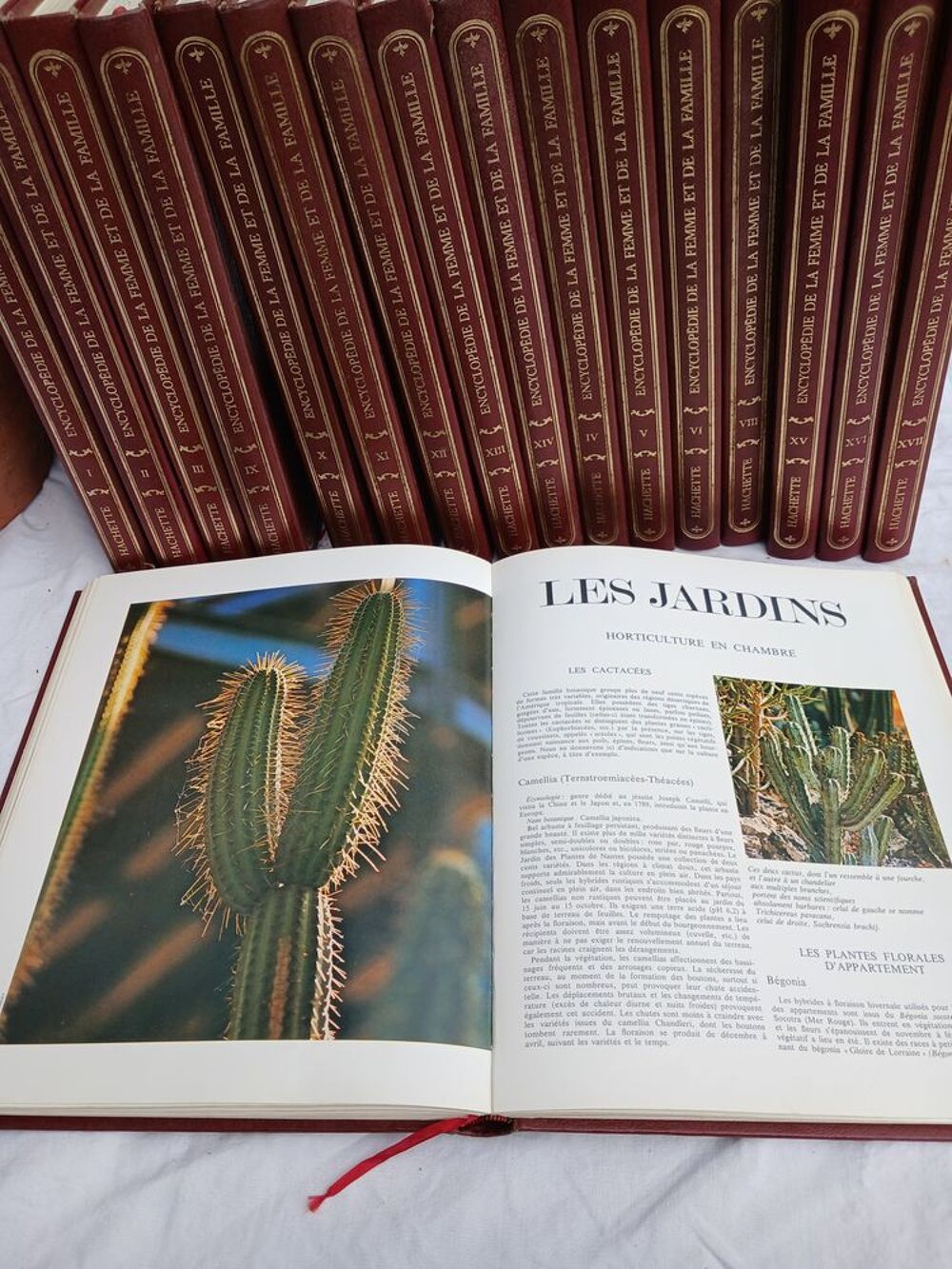 Encyclop&eacute;die de la femme et de la famille Livres et BD