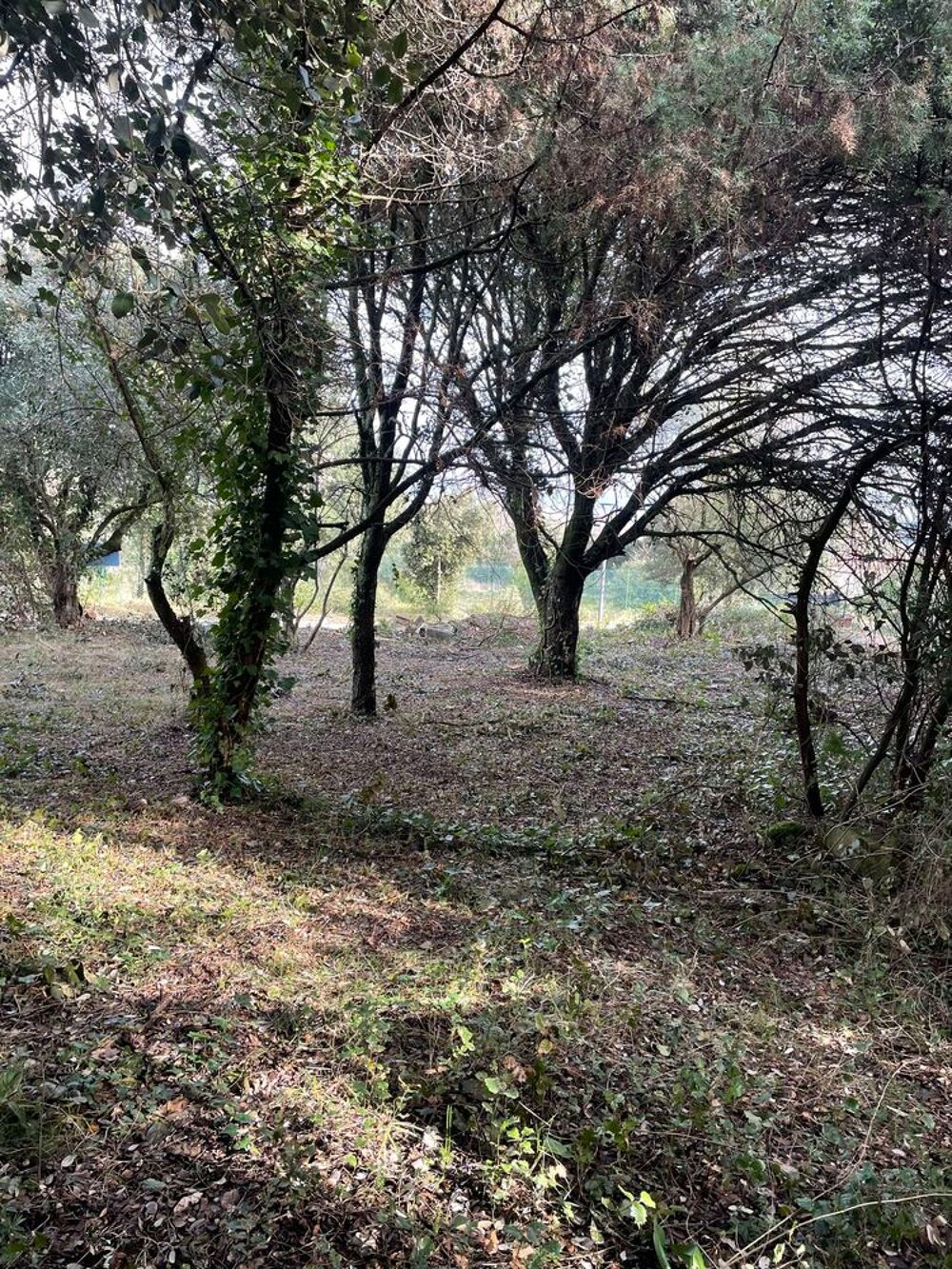 Vente Terrain terrain Collias 400 m2 Collias