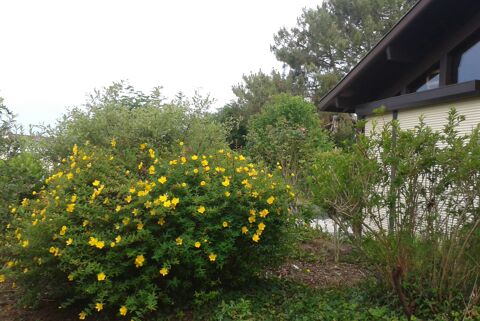  Maison � louer 6 pi�ces 111 m�