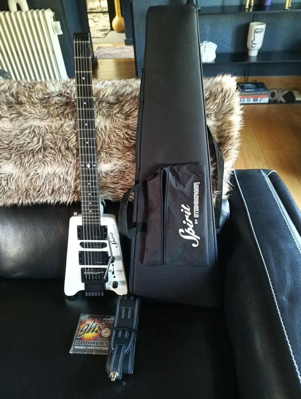 Guitare Steinberger Spirit GT Pro Instruments de musique