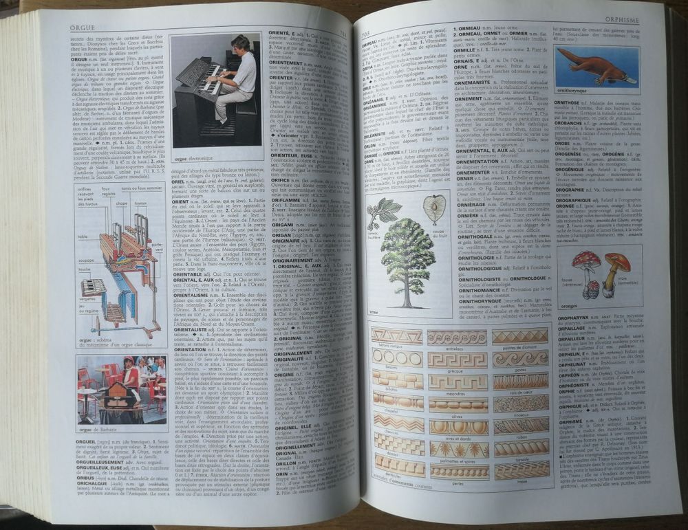 ?	Dictionnaire Petit Larousse en couleurs Livres et BD