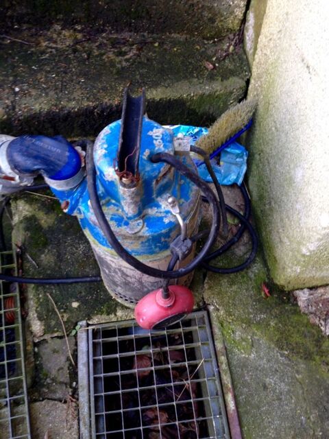 pompe de relevage 290 Les Authieux-sur-le-Port-Saint-Ouen (76)