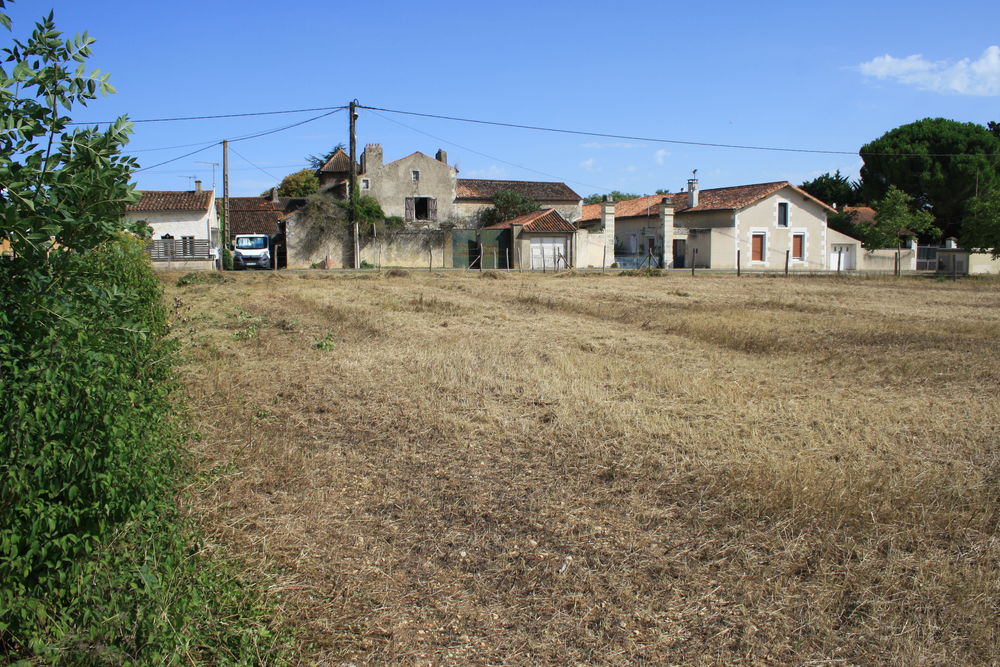 Vente Terrain Terrain constructible - AVANTON (86170) Avanton