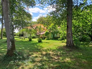  Maison à vendre 8 pièces 243 m²