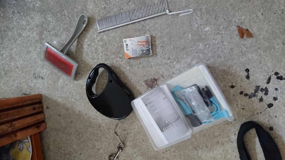 accessoires chien Décoration