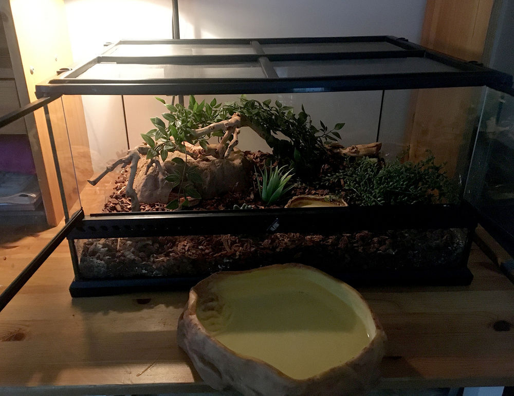Terrarium &eacute;quip&eacute; pour serpents des bl&eacute;s Meubles
