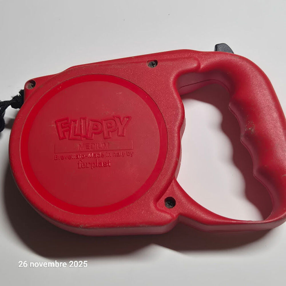 Laisse r&eacute;tractable en nylon pour chien de compagnie, pour pe Bricolage