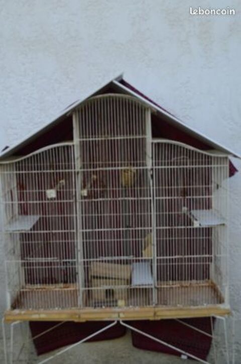 Cage à oiseau bon état 50 Saint-Thomas-de-Conac (17)