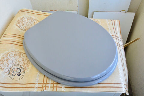 Lunette de toilette. 5 Castelnaudary (11)