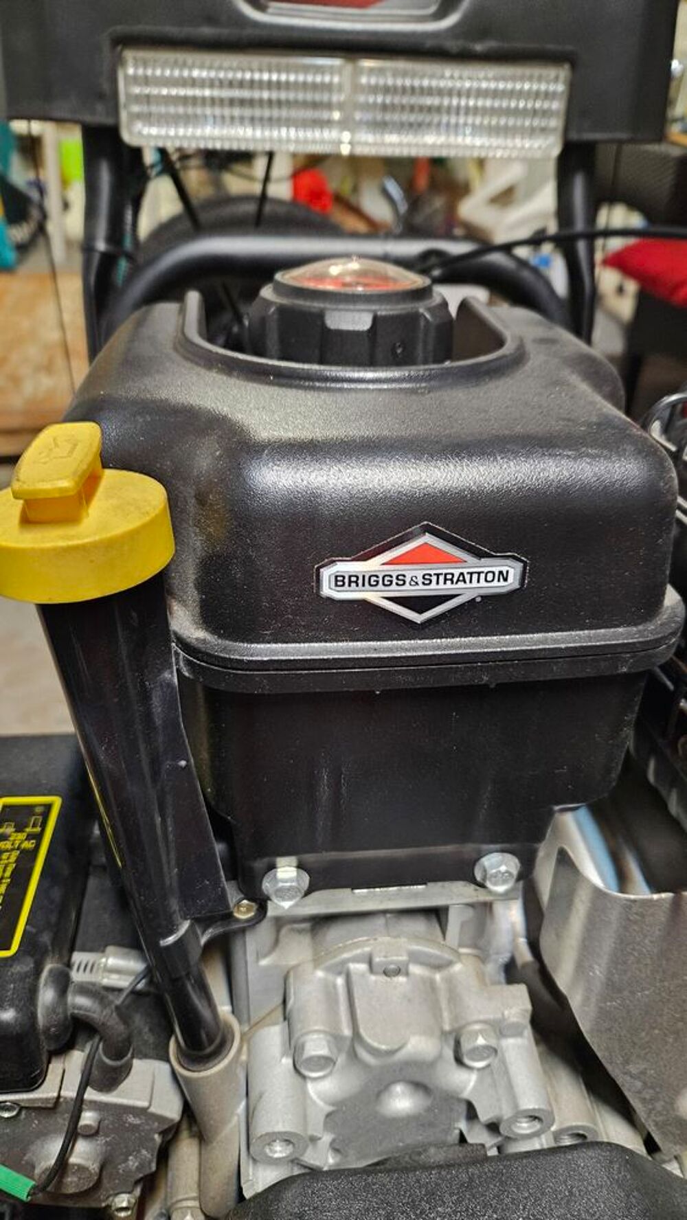 FRAISE A NEIGE CANADIAN BRIGGS &amp; STRATTON Jardin