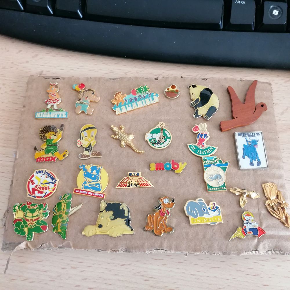 PIN'S 