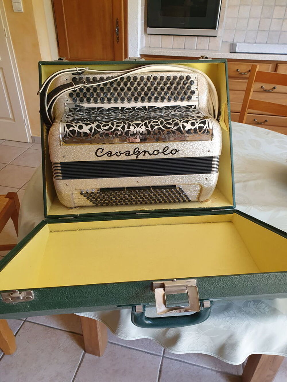 Accordeon. Avagnolo Instruments de musique
