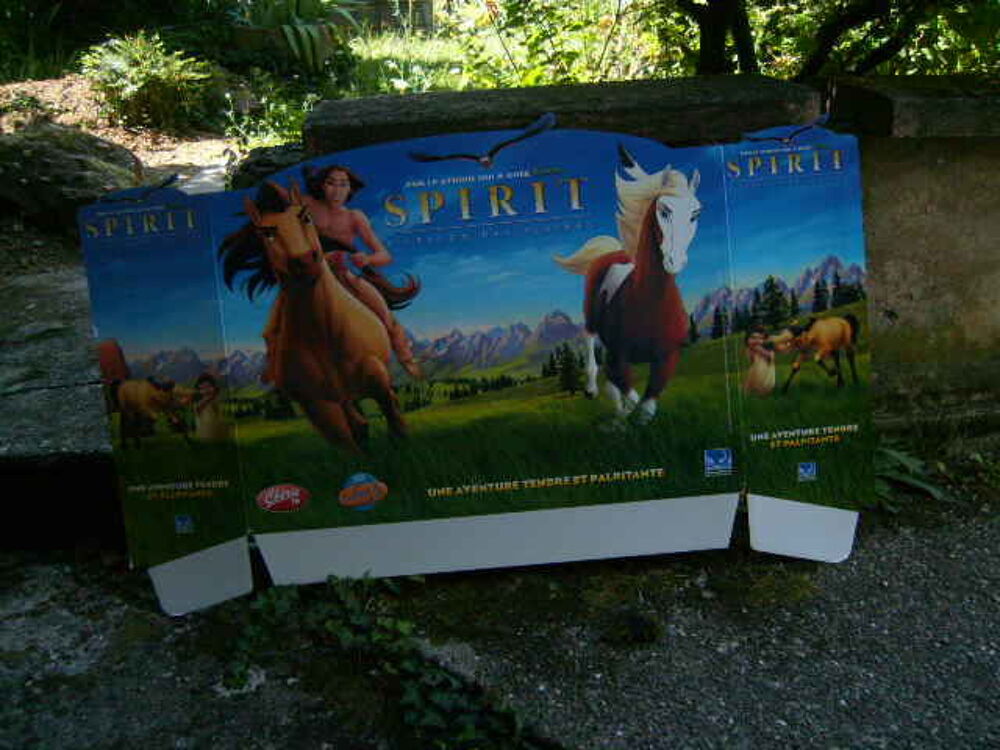 Affiche du film" SPIRIT " 