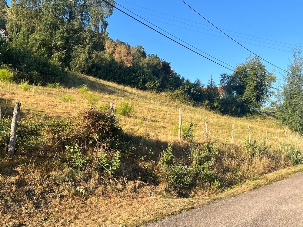 Vente Terrain Terrains Dommartin-lès-remiremont