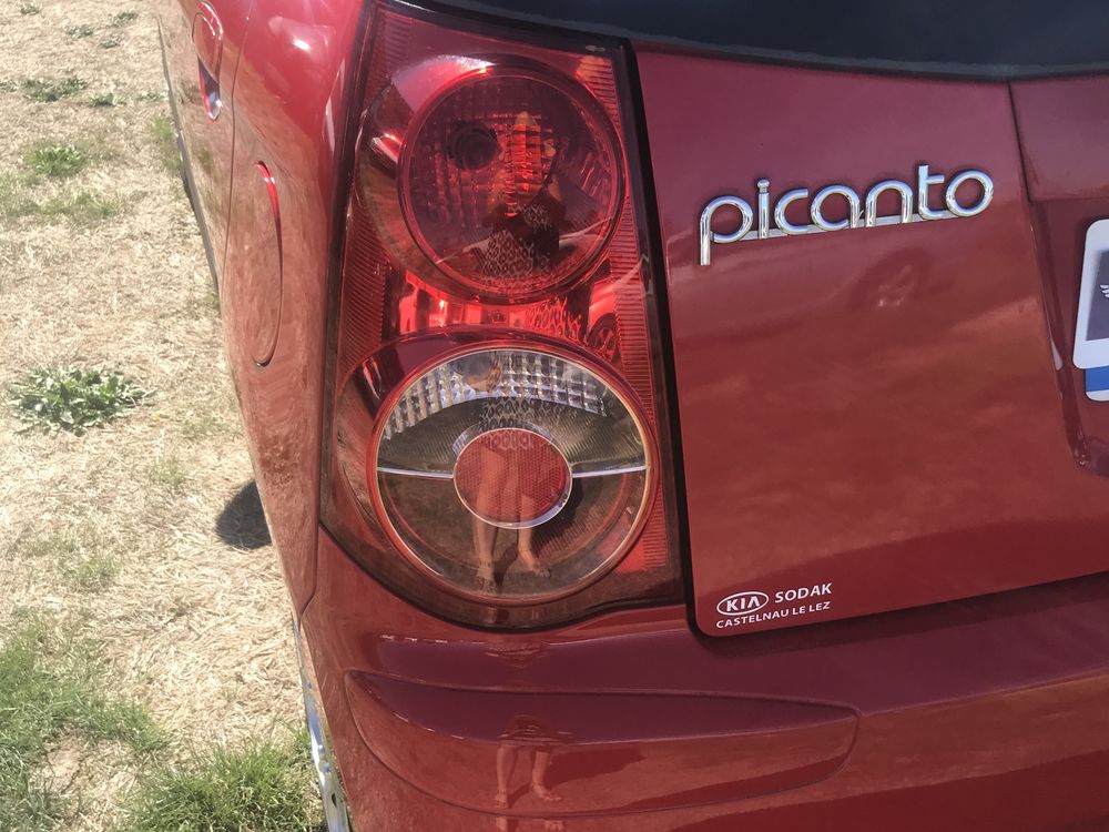 Picanto 1.0L 62 Motion 2009 occasion 49270 Saint-Laurent-des-Autels