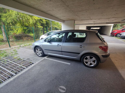 Peugeot 307 2.0e 16V Exécutive A