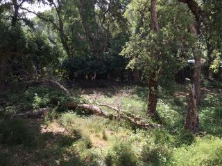  Terrain � vendre 1023 m� Binche