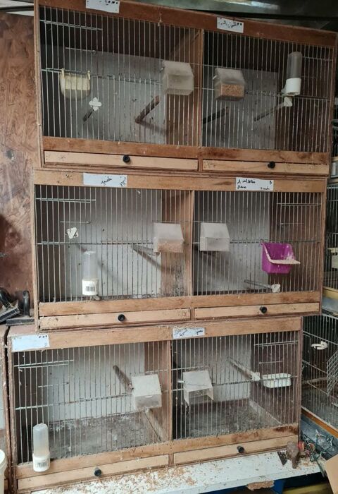 Cages avec s�paration Pertain (80)