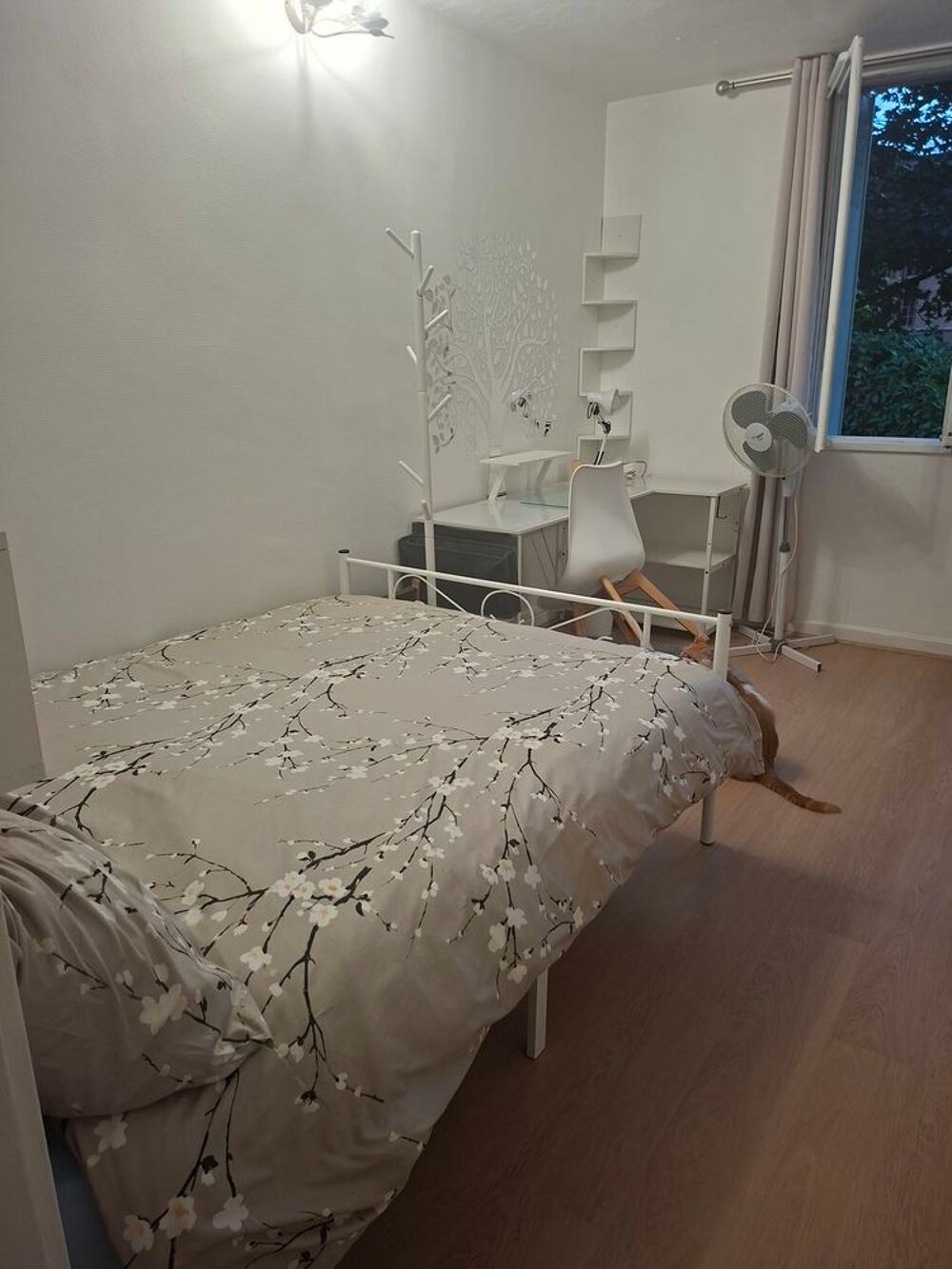 Location Chambre Jolie chambre meublée à une étudiante ? Lyon 5? ? Lyon 5