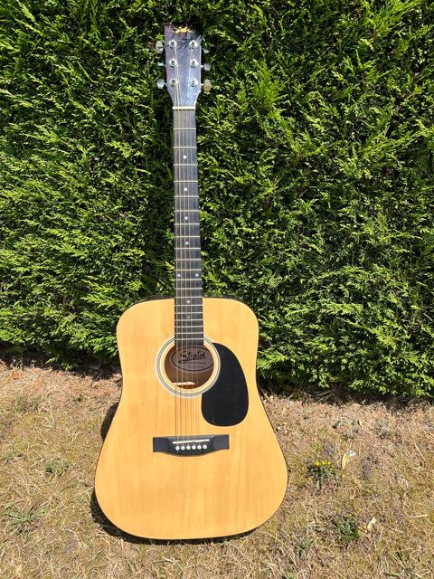 Guitare sche 30 Ardentes (36)