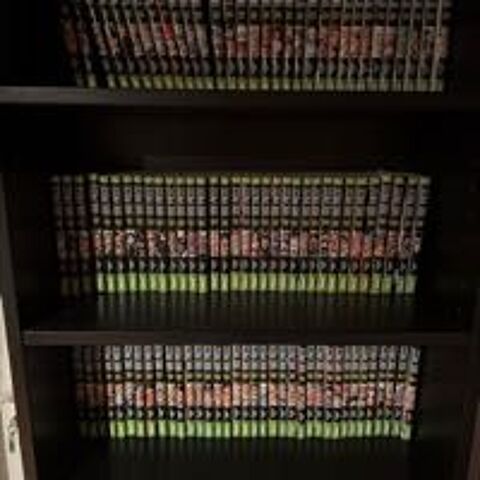 manga one  tome 1a 104 250 Saint-Jean-de-Monts (85)