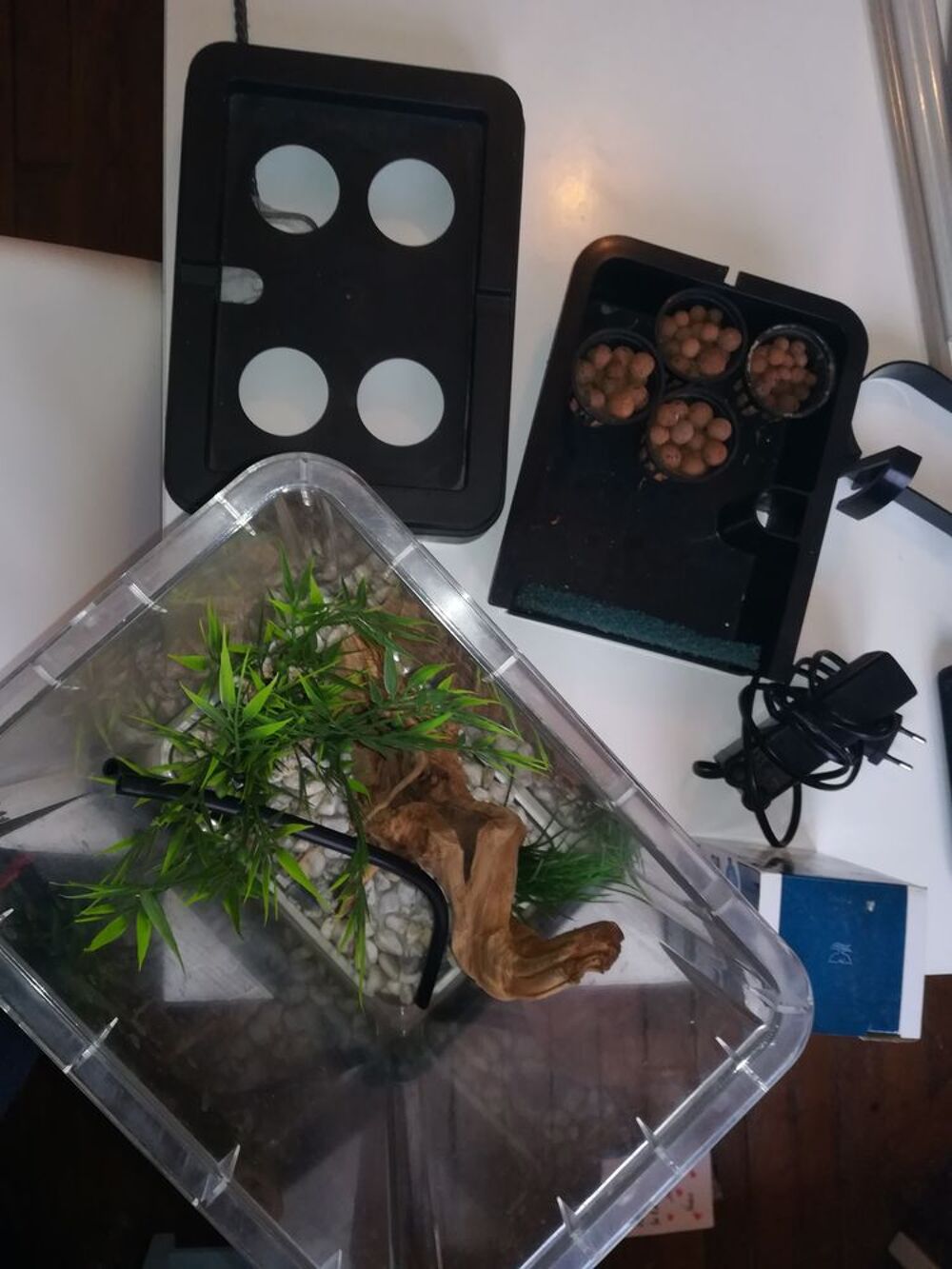 Aquarium ozarium citizenfarm Jardin