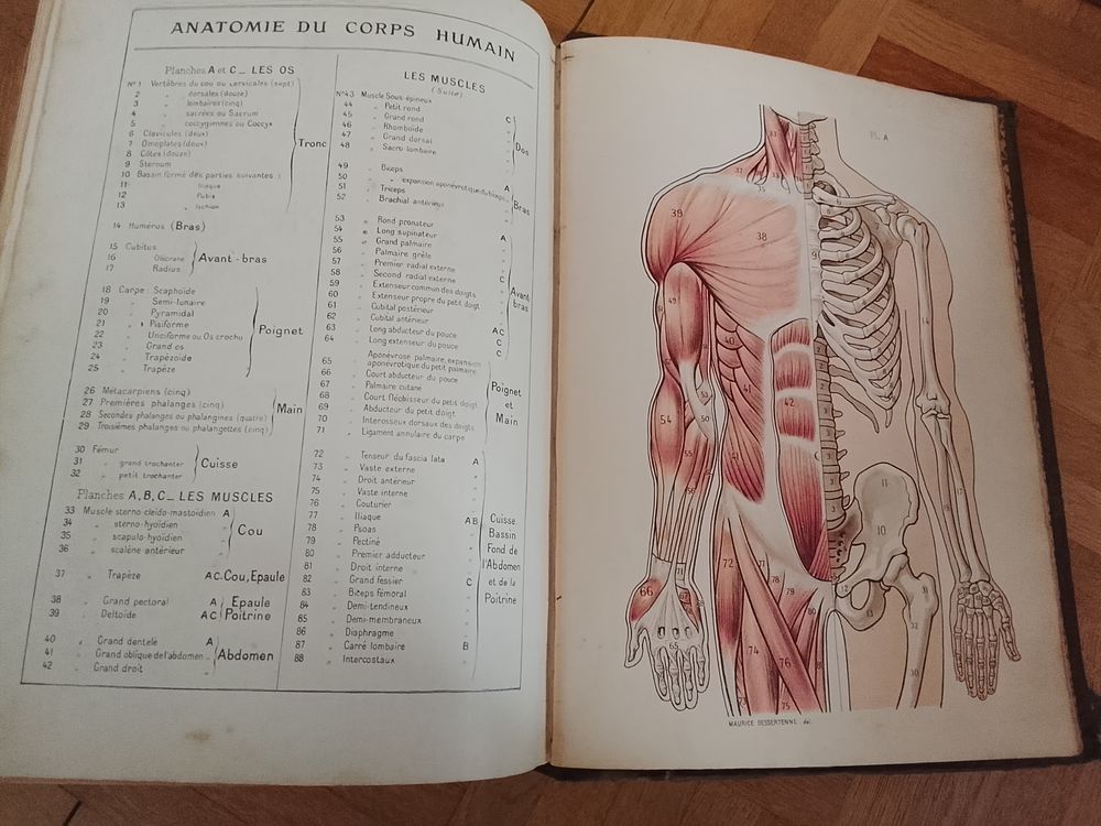 Larousse m&eacute;dical illustr&eacute; &eacute;d 1925 Livres et BD