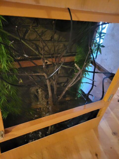 TERRARIUM GRILLAGER .....avec moustiquaire 35 79000 Niort