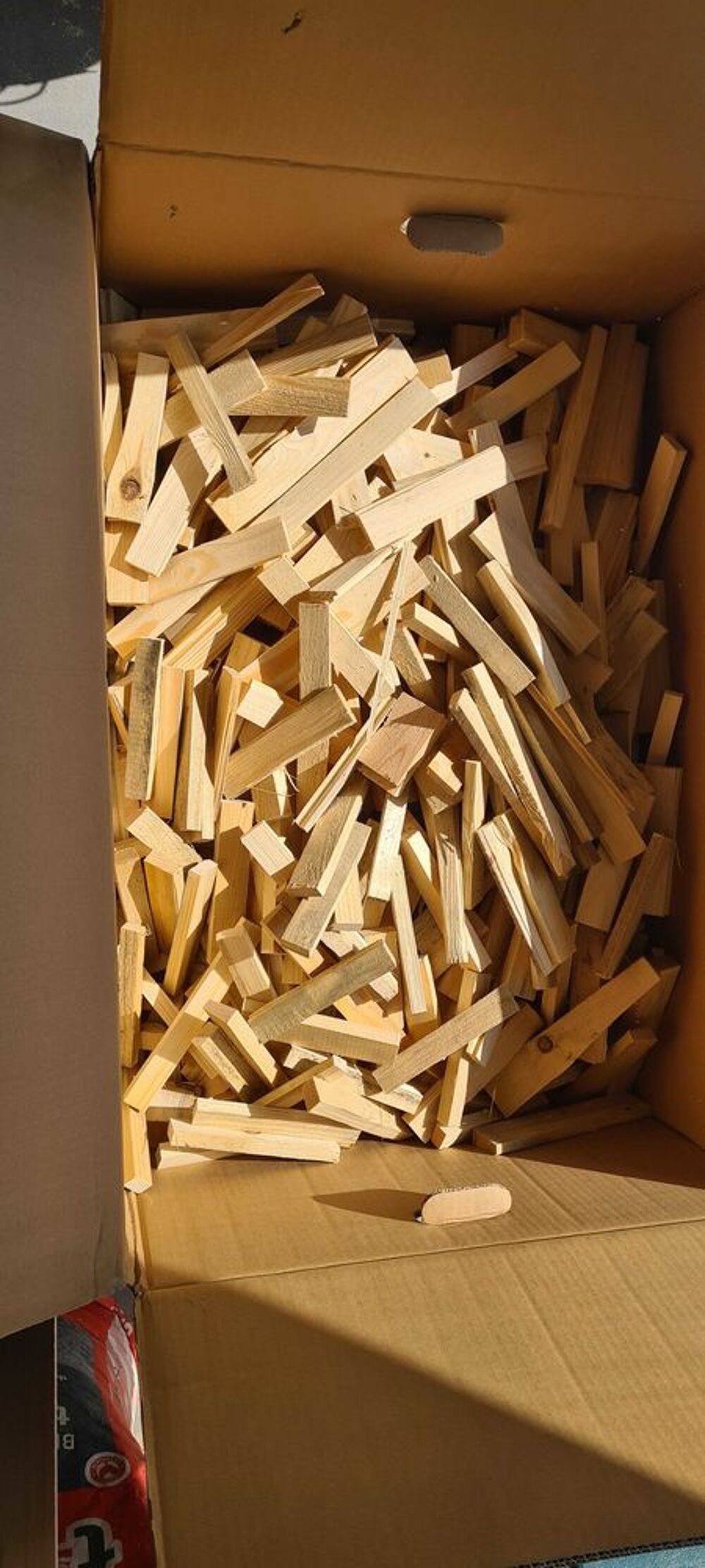 bois d allumage Jardin