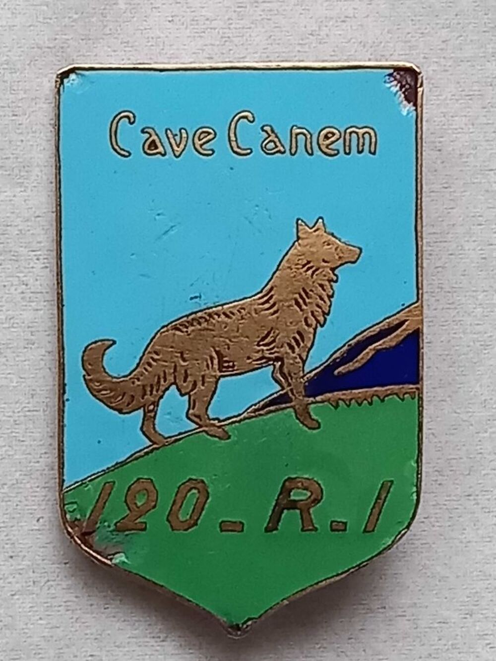 rare insigne 120 ri 
