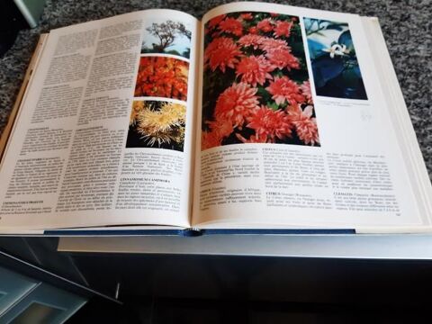 Livres Crations florales et plantes et fleurs 5 Rhinau (67)