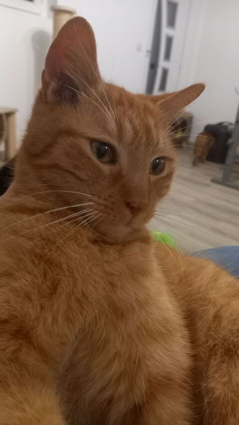 QUINNY 75 95420 Arthies